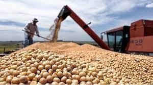 El precio de la soja superó los US$610 por tonelada: cómo impacta en los ingresos del gobierno