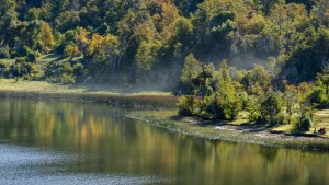 Laguna Rosales, un paraíso a 7 km de San Martín de los Andes