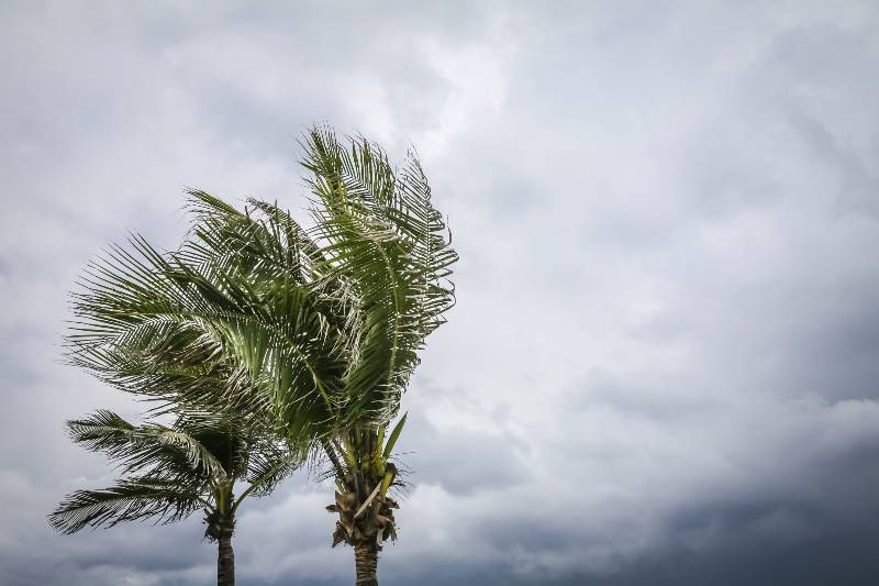 Hay preocupación por la inauguración de la temporada de huracanes, sobre todo en la zona de México.-