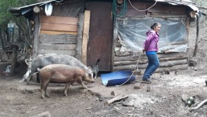 Un country de Bariloche debe garantizar el libre tránsito de una comunidad mapuche