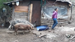 Polémica entre Gennuso y Nación por tierras de una comunidad mapuche