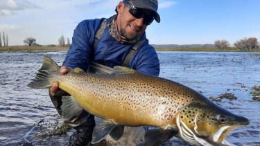 «¡Qué hermosa trucha, papá!»: aventuras de pesca con mosca en el Limay Medio
