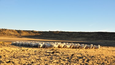 Un proyecto que busca combinar saberes y culturas y mundos, entre lo ancestral y lo contemporáneo.