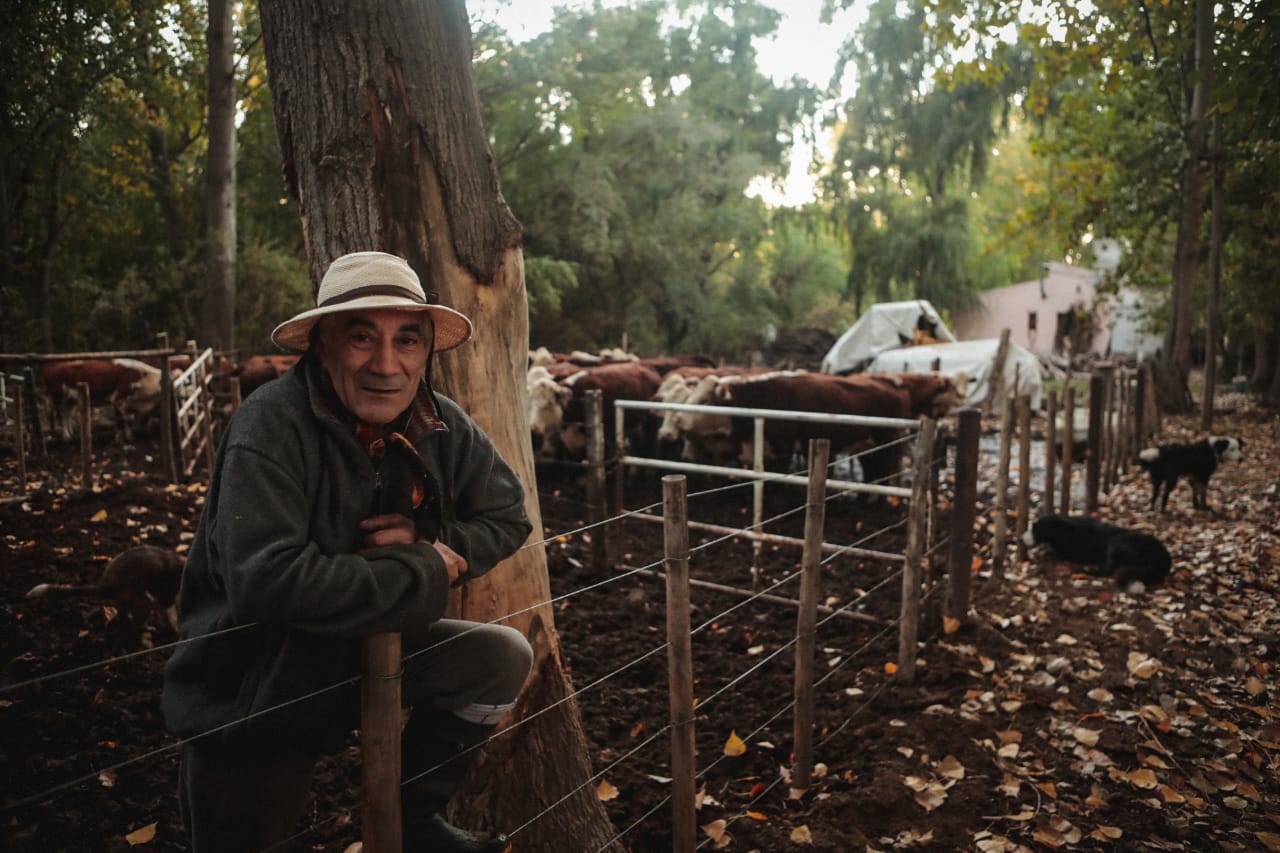 Todas las mañanas, acompañado por sus perros, suelta a las vacas. Foto: Gastón Fournier. 