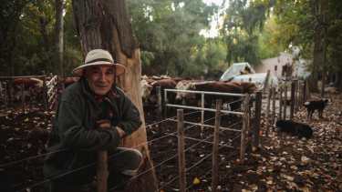 Todas las mañanas, acompañado por sus perros, suelta a las vacas. Foto: Gastón Fournier. 