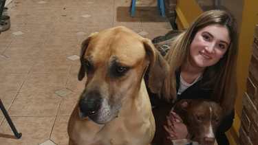 Milo, ya en casa y recibiendo el cariño de Julieta y el resto de la familia.