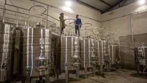 Camino del vino rionegrino: una escala en el Alto Valle