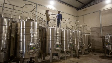 Camino del vino rionegrino: una escala en el Alto Valle