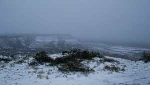 En fotos: así luce Paso Córdoba tras la nevada en Roca