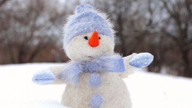 Si bien se mencionó la posibilidad de que llegue la nieve a la región, aún no hay certezas al respecto.-