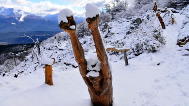"El grito de la tierra", obra emblemática. El Bosque Tallado está a 1.400 msnm, con vistas al valle de la Comarca Andina. Foto: Alfredo Leiva.