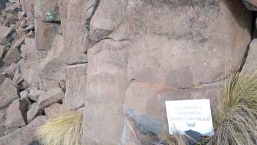 Foto: Prensa Gendarmería