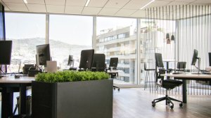 Las tres empresas donde los argentinos eligen trabajar