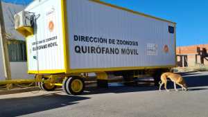 El quirófano móvil para las castraciones ya recorre los barrios de Cutral Co