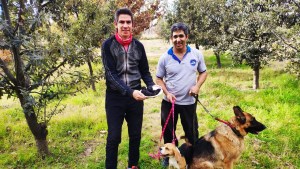 Con la ayuda de dos perras, la familia Castro cosecha trufas negras en Choele Choel