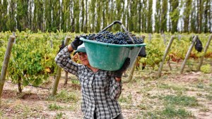 La vitivinicultura es el complejo agroalimentario exportador que más empleo genera, afirman