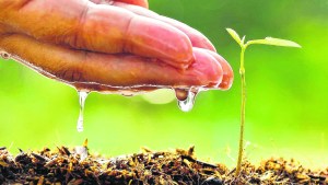 El medio ambiente somos todos: qué podemos hacer