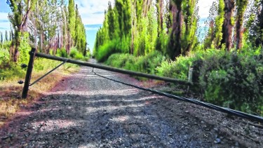 En la madrugada de hoy se cortaron cables y se produjo el robo de unos 200 metros. Vecinos de Cervantes y Roca se quedaron sin el servicio de luz. Foto archivo