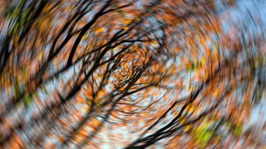 El vértigo nos hace sentir que el exterior se mueve o gira a nuestro alrededor, sin que esto esté ocurriendo en realidad. 