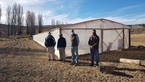 Familias de la Región Sur tendrán acceso a hortalizas frescas producidas en la zona