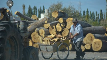 Los llamados retazos son el principal cargamento de los vecinos que se movilizan con carros o bolsas a la Cooperativa 1° de Mayo. Foto Juan Thomes