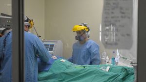 Diez muertos y 340 nuevos contagiados de coronavirus en Río Negro