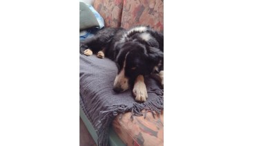 Cade, después de estar atrapado bajo el cemento y ser rescatado. (Gentileza).-