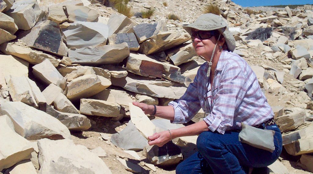 Zulma Gasparini es una de las principales paleontólogas a nivel mundial que estudió los reptiles marinos. Foto: Gentileza Neuquén Informa