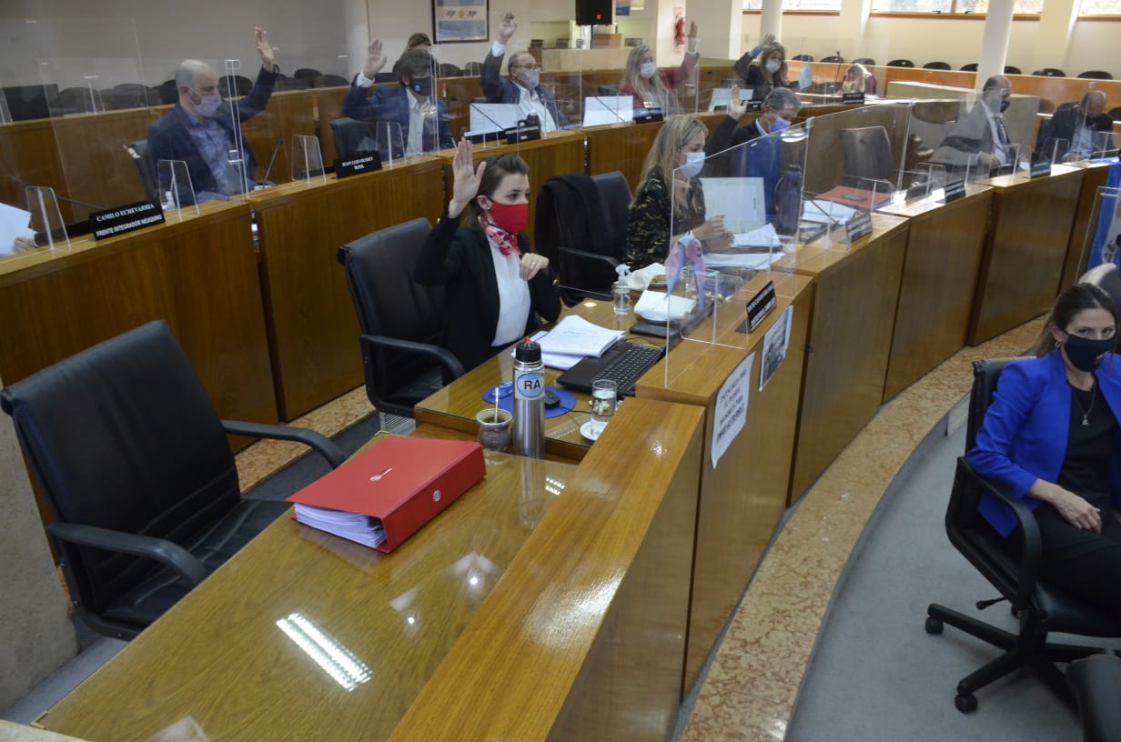 El Concejo Deliberante votó la enmienda de la Carta Orgánica Municipal (foto Yamil Regules)