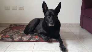 Pronóstico: se mantiene el aire frío y húmedo este jueves en la región