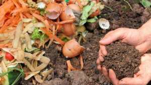 Cómo y cuándo elaborar compost, el alimento que la tierra necesita todo el año