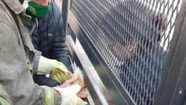 Los bomberos de Neuquén usaron una tijera para ir abriendo la reja. Foto: Gentileza Policía de Neuquén. 