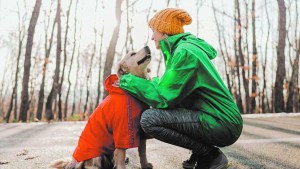 Cuestión de tamaño: ¿cuánto frío pueden soportar los perros?
