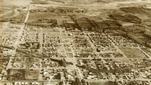 La avenida de Neuquén que nació del bosque de sauces