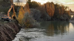 Realizan tareas de mantenimiento en los canales de riego del Idevi