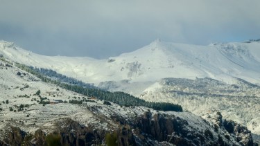 Una de las primera nevadas del año en las afueras de San Martín de los Andes, en el cordón del Chapelco. Foto: Patricio Rodríguez. 