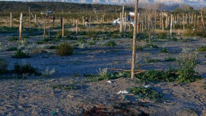 «Maté a mi amigo», habría dicho el hombre detenido en Roca por un crimen