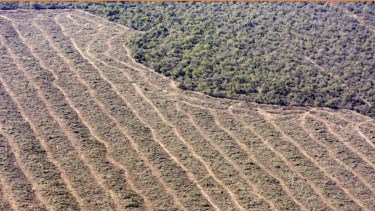 Qué hace falta discutir: las deudas ambientales en un mundo desigual