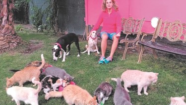 Fernanda en el patio con algunos de los 30 gatos rescatados y 3 perras
