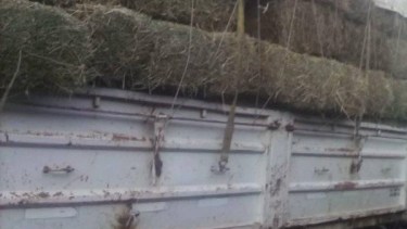 Promueven el intercambio entre los pobladores rurales