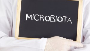 Cómo mantener sana la microbiótica intestinal