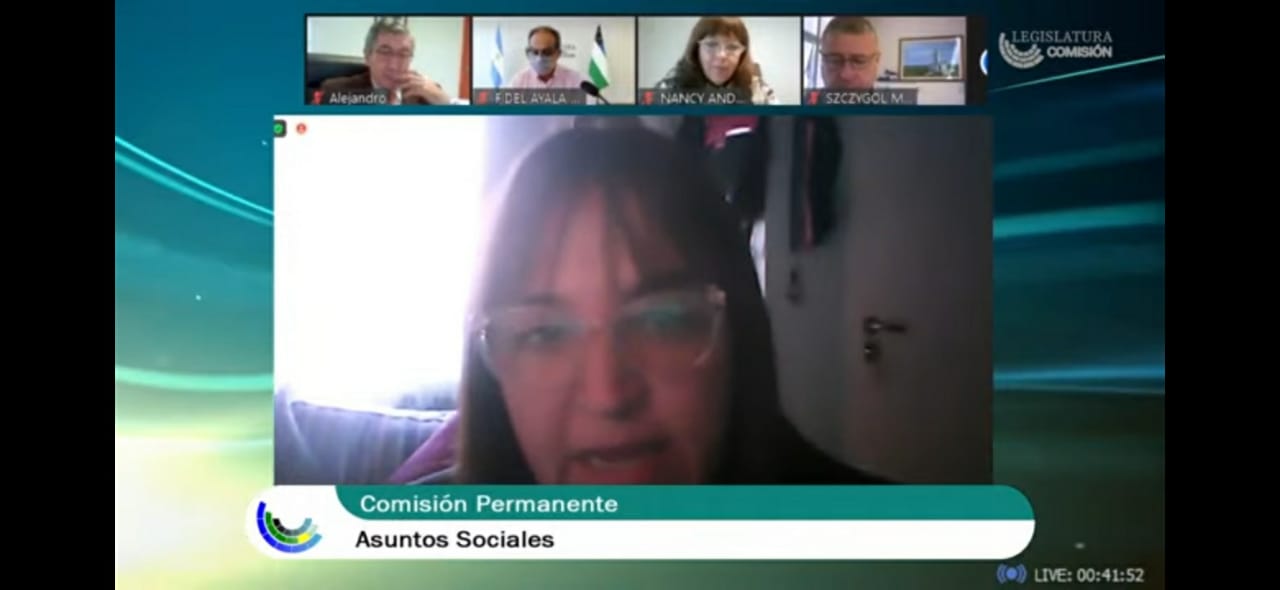 La secretaria de Salud, Mercedes Ibero en la comisión de Asuntos Sociales de la Legislatura. 