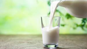 Logran la primera leche en polvo con certificación orgánica del país