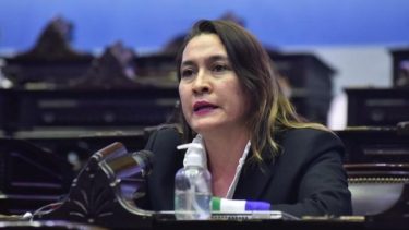 La diputada radical votó a favor de la legalización del aborto y por esa postura le habrían sugerido que tome distancia de la campaña de Tortoriello.
