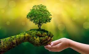 Política de Estado ambiental