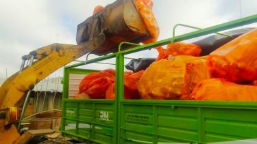 Se recolectarán con envases vacíos de agroquímicos para su reciclado.