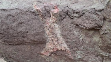 Los fósiles estaban pegados en una piedra Foto: Prensa Gendarmería