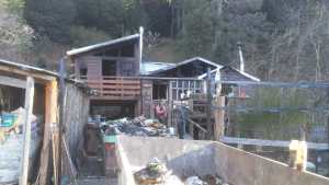 Se incendió una casa en Colonia Suiza