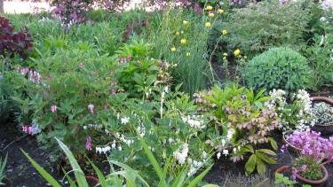 Diseñar el jardín: cómo pensarlo desde el inicio