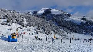 PreViaje 2022: cómo funciona en estas vacaciones de invierno